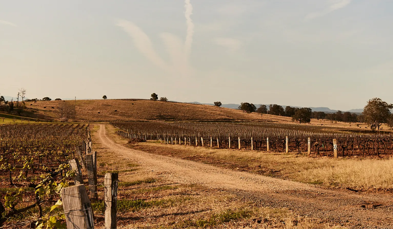 Lovedale Farm