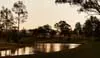 Lovedale Farm