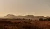 Lovedale Farm