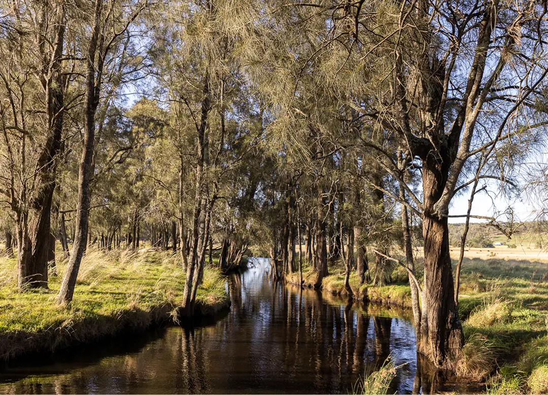 Lovedale Farm