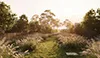 Lovedale Farm